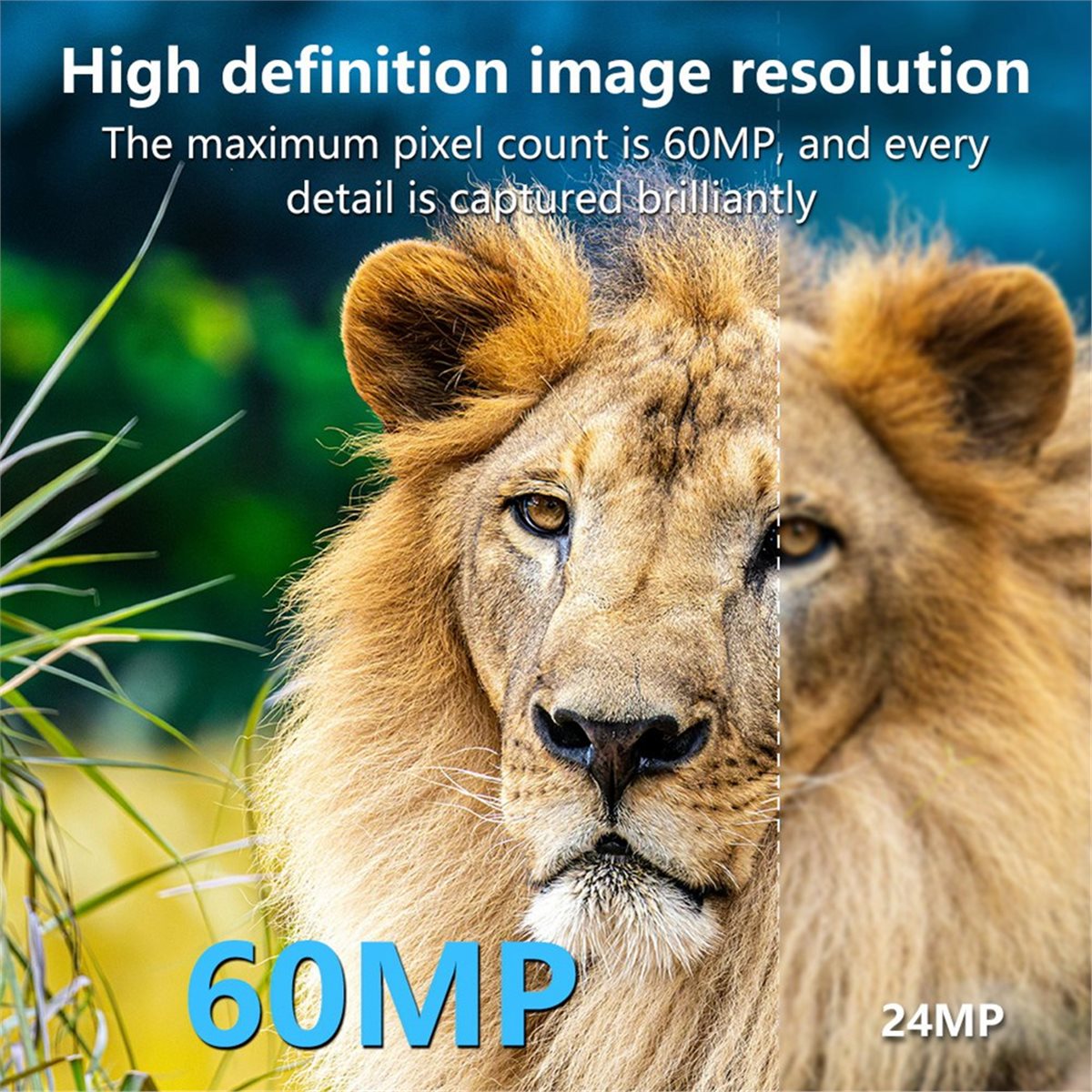 Outdoor Hunting Camera Wifi - AS62 8K Av Kamerası HD Yaban