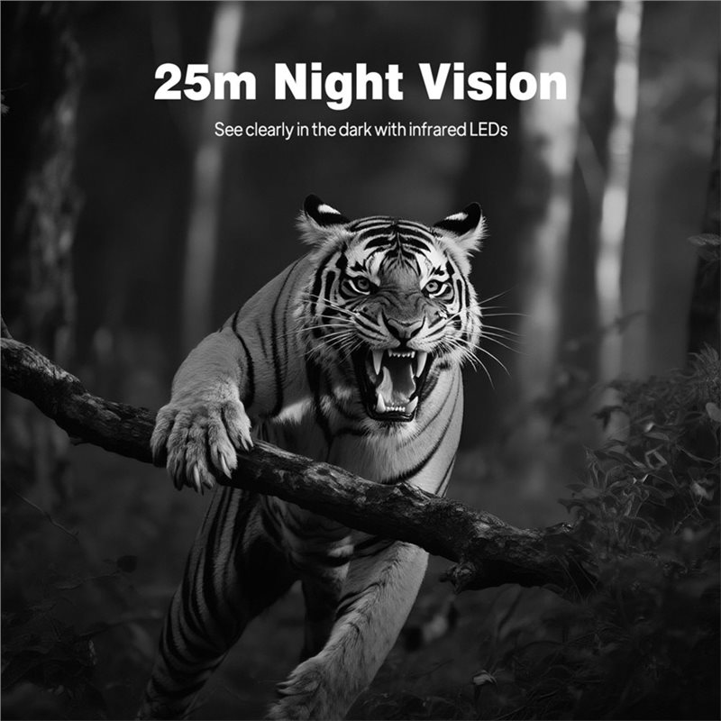 BTLIFE-Wildlife Surveillance 1 - Hunting Outdoor Camera incelemesi ve fiyatı