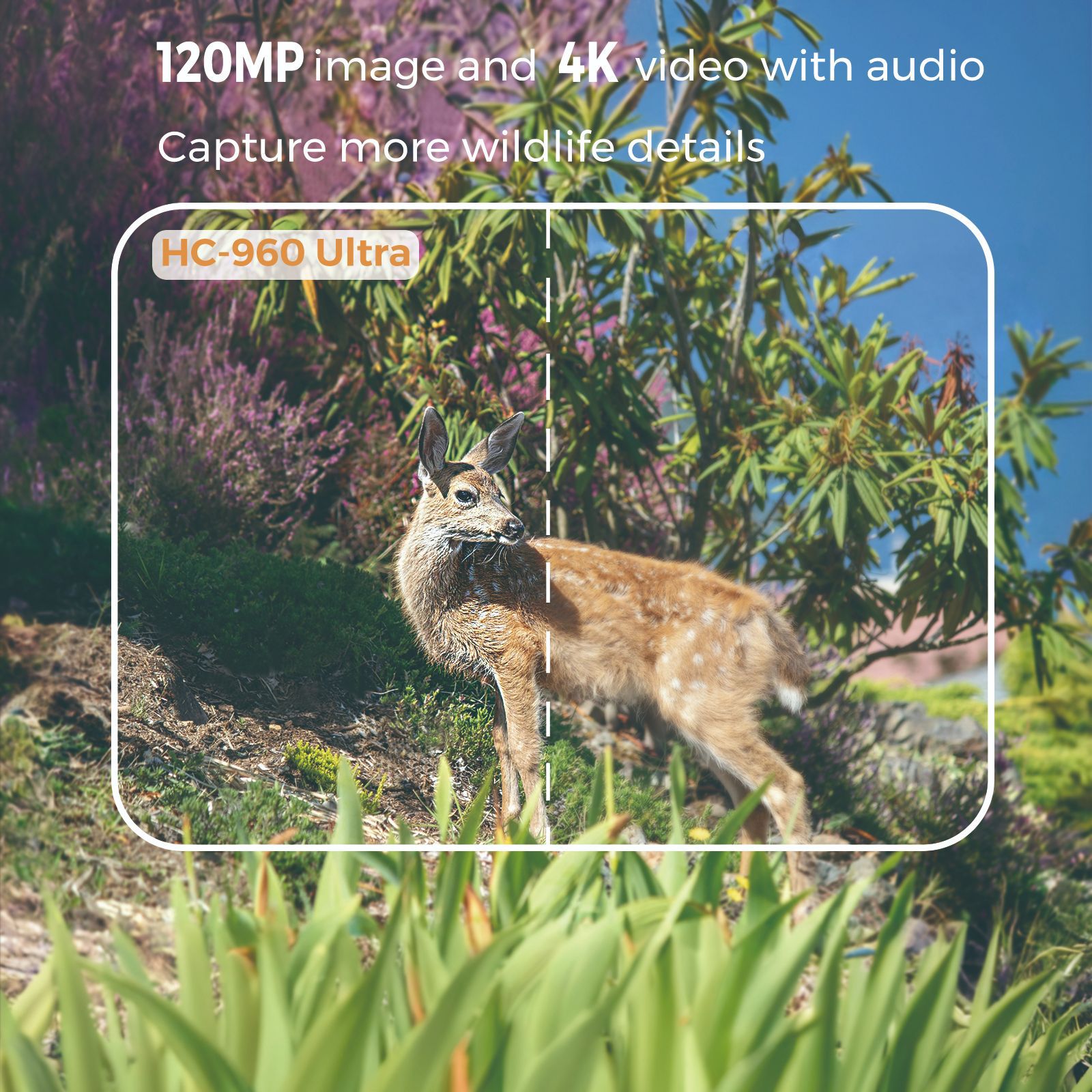Açık Hava 4K Video 120MP Fotoğ - Hunting Outdoor Camera incelemesi ve fiyatı