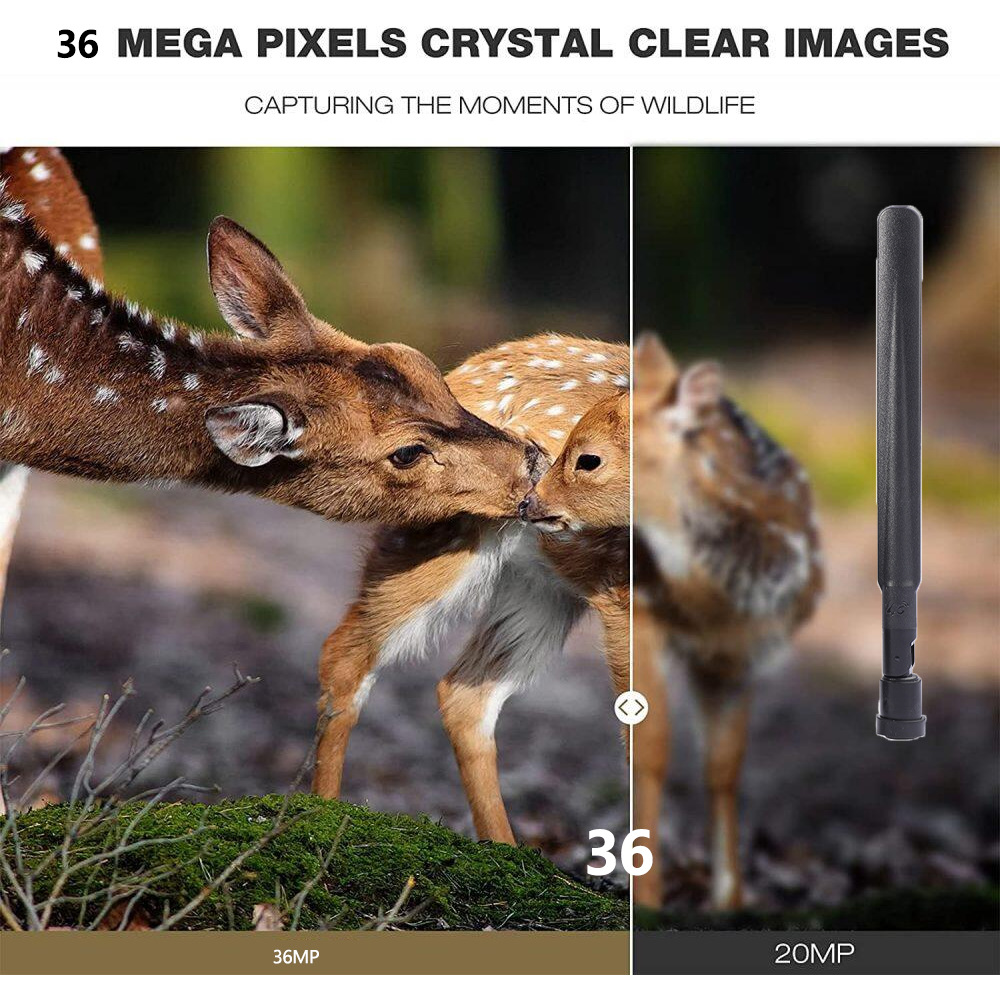 HC-801pro açık avcılık kamera  - Outdoor Hunting Pictures incelemesi ve fiyatı