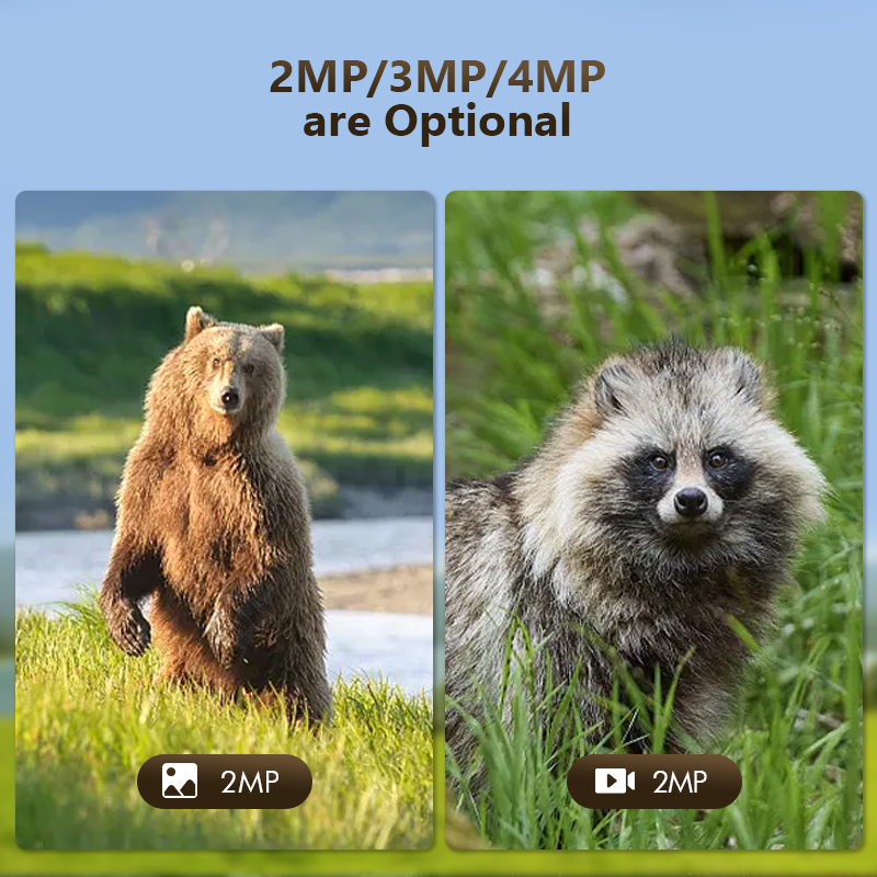 4G 4MP açık yaban hayatı avcıl - Hunting Outdoor Camera incelemesi ve fiyatı