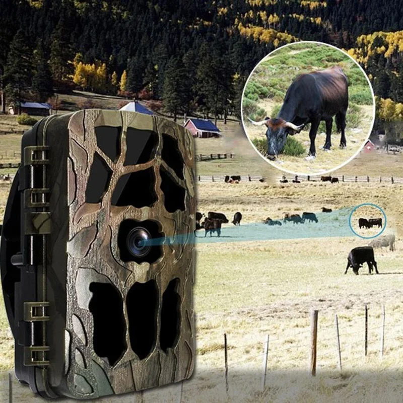 H982 IP66 su geçirmez 4K açık  - Hunting Outdoor Camera incelemesi ve fiyatı